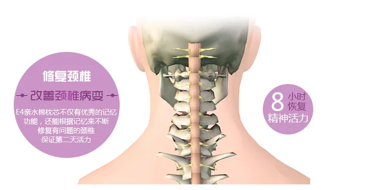 佳爽E4記憶枕改善頸椎保護(hù)健康枕頭護(hù)頸親水棉枕芯專用成人枕