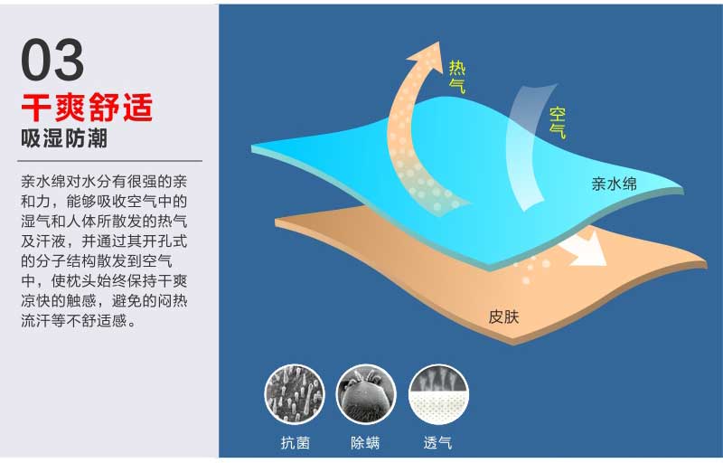 佳爽EH6 護(hù)頸椎保健枕頭 慢回彈親水棉記憶枕芯 失眠專用護(hù)肩大人枕