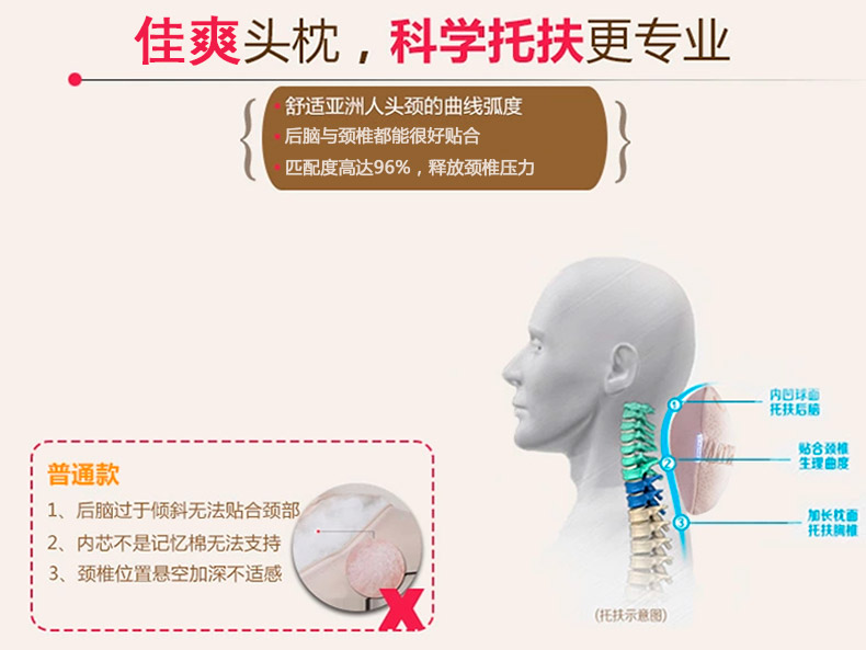 佳爽BH1 汽車骨頭枕 脖子護(hù)頸枕 辦公室椅子用頭靠枕 親水棉記憶旅行枕芯